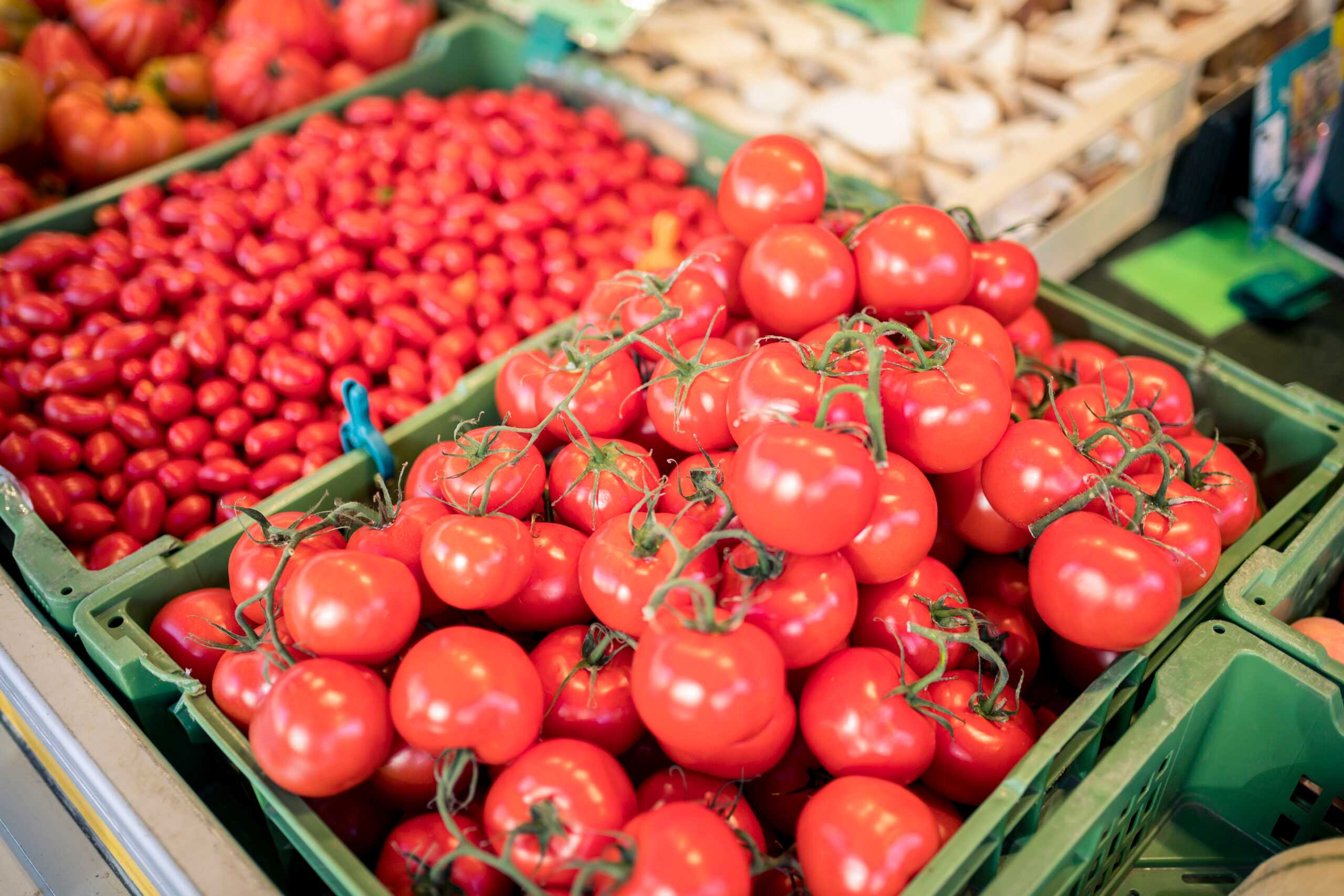 Das Foto zeigt drei Gemüsekisten mit Tomaten gefüllt.