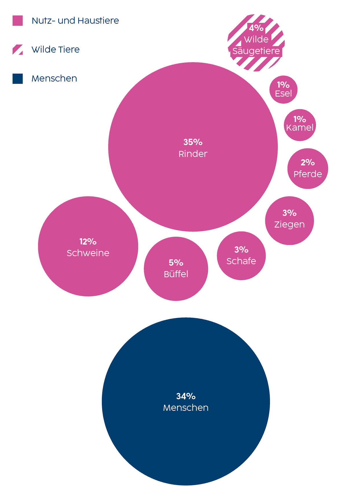 Die Grafik zeigt die Gewichtung der Säugetiere in Prozent, global, 2015. Die Biomasse des Menschen (34%) und die Biomasse der Nutztiere (insg. 62%, dominiert von Rindern und Schweinen) übersteigt heute bei weitem die der wildlebenden Säugetiere (4%).