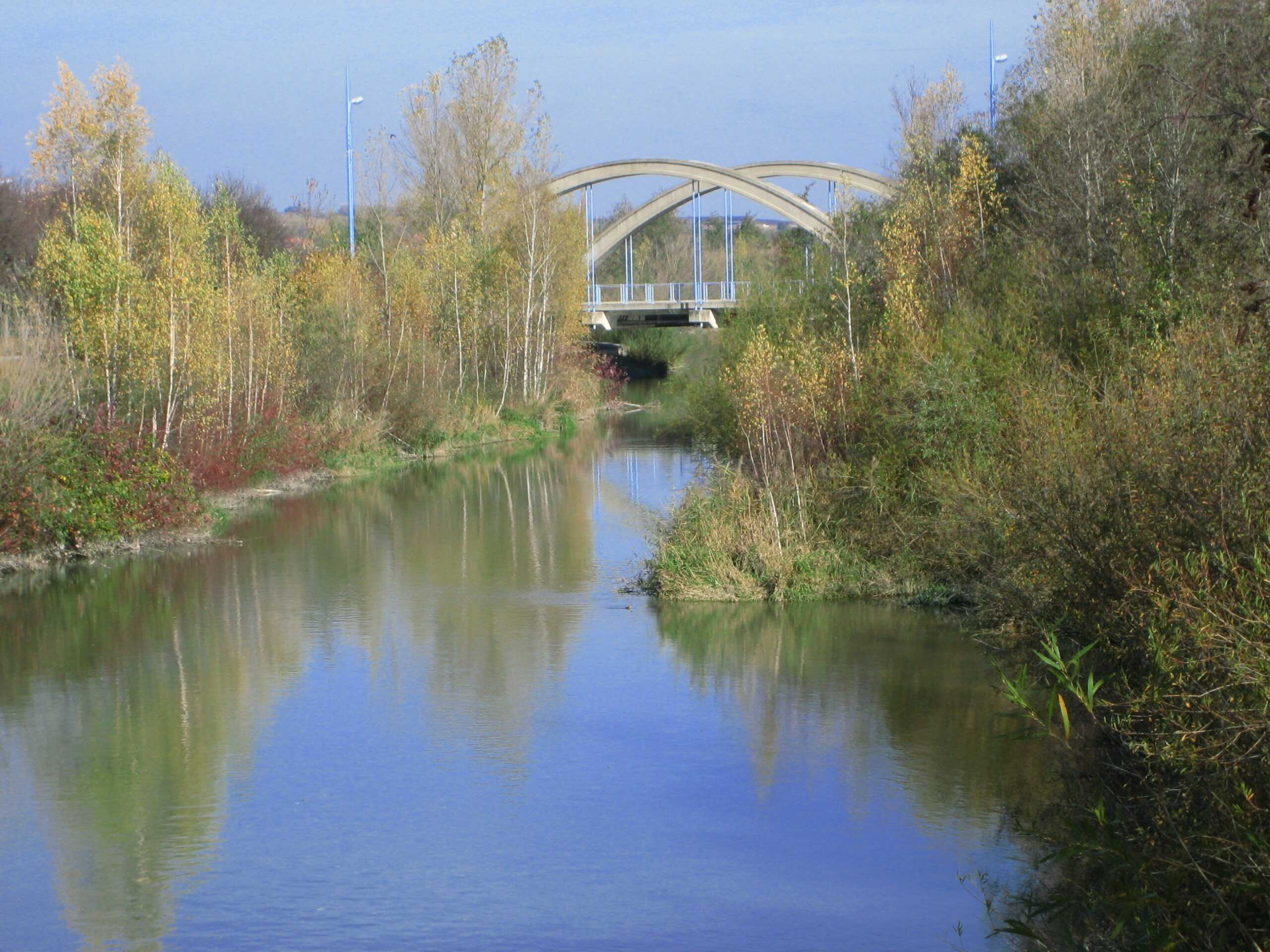 Das Foto zeigt eine Brücke bei der Strebersdorfer Strasse mit Auwald ähnlicher Begleitvegetation.
