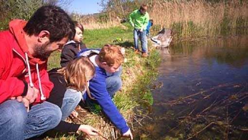 Das Foto zeigt einen Mann mit 4 Kindern an einem Teich oder Bach. Die Kinder erforschen das Ufer.