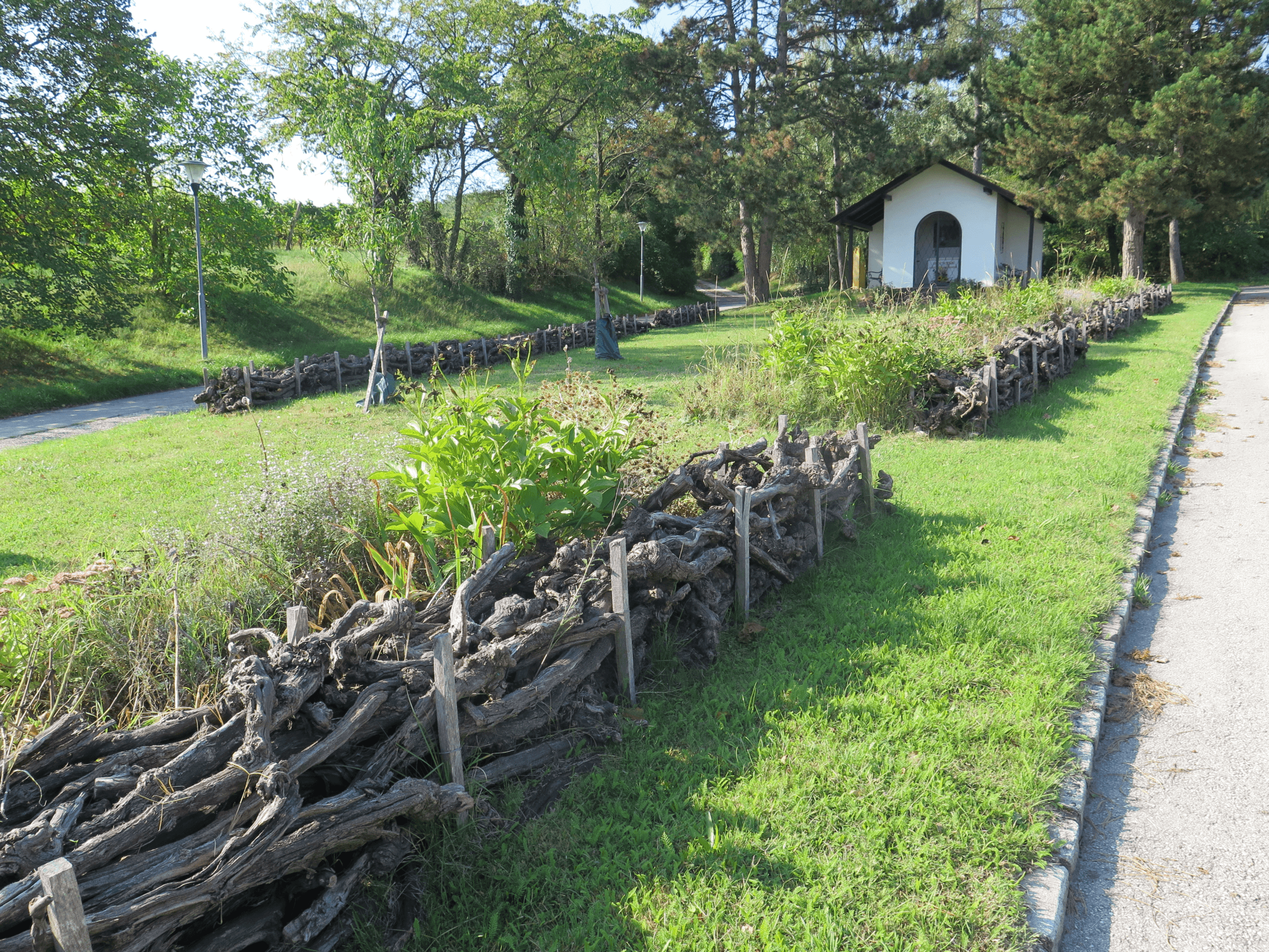 Biodiversitaet-in-Gaerten-und-Gruenraeumen-2025