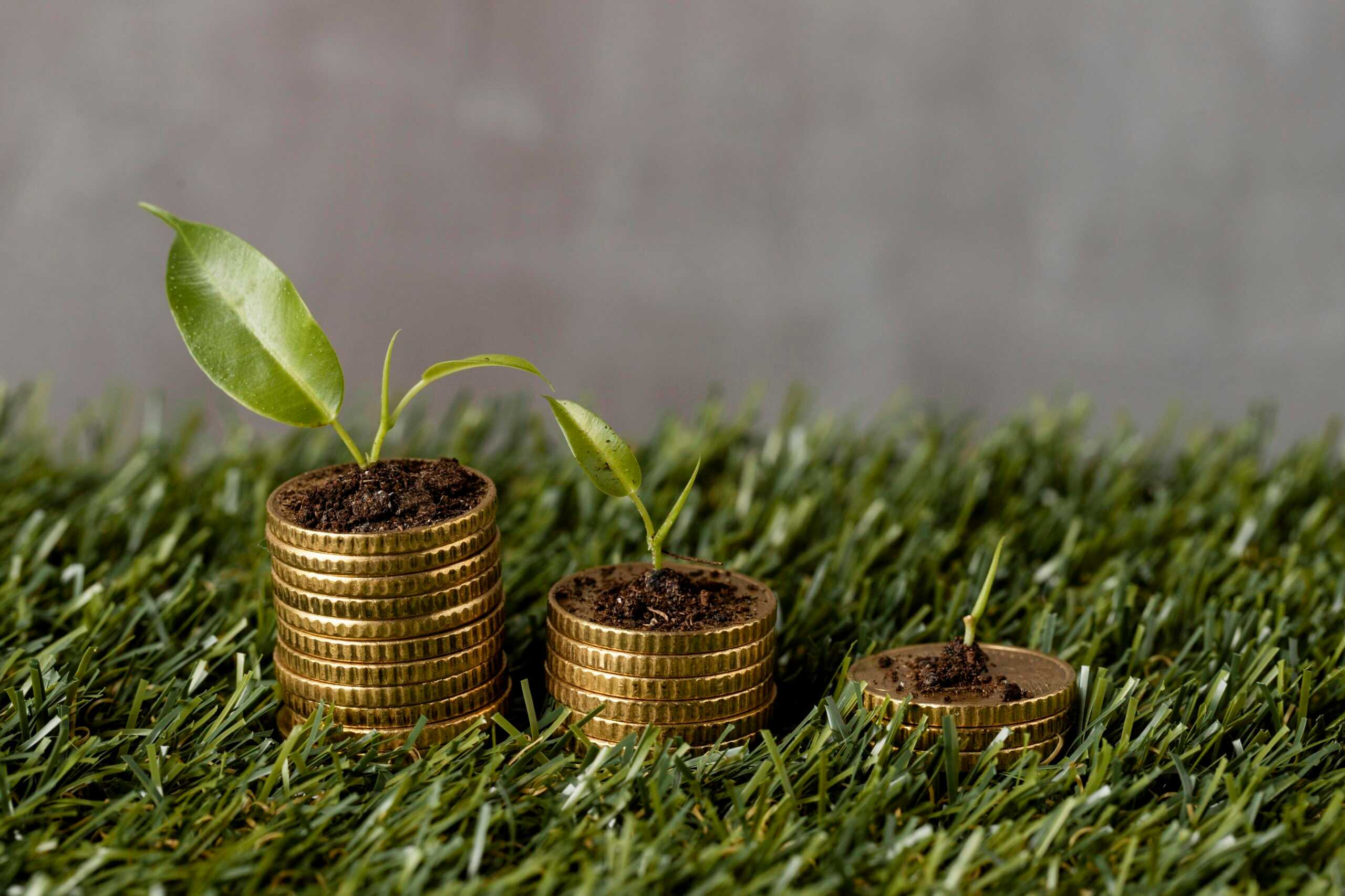high-angle-three-stacks-coins-grass-with-plants-dirt c Freepic 2025.jpg