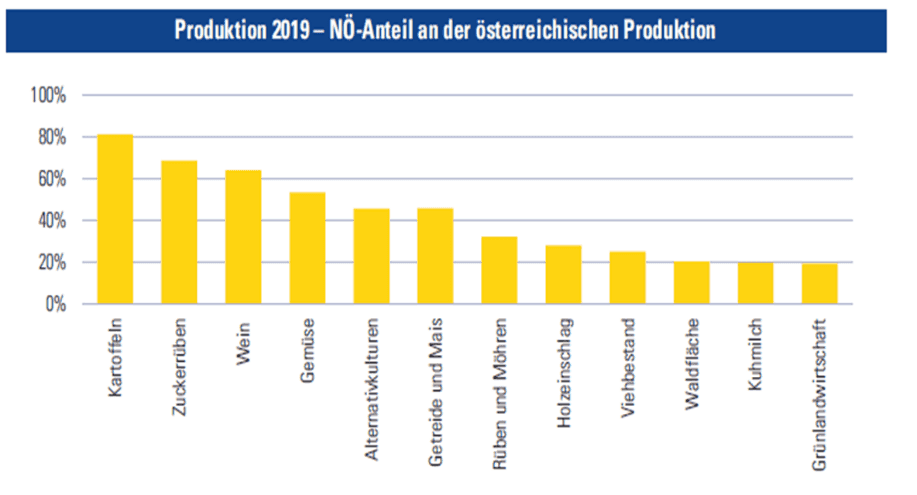 Die Säulengrafik zeigt die Anteile an landwirtschaftlichen Produkten in NÖ 2019 an der österreichischen Produktion. Dabei liegen die Kartoffeln mit 80% gefolgt von Zuckerrüben mit ca. 70%, Wein mit etwas über 60% am höchsten. Im Bereich der niedrigen 20% liegen Grünlandwirtschaft, Kuhmilch und Wald.